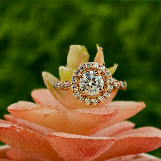 Round Modern Real Lab Grown Diamond Engagement Ring