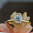 Round Delicate Lab Grown Diamond Engagement Ring