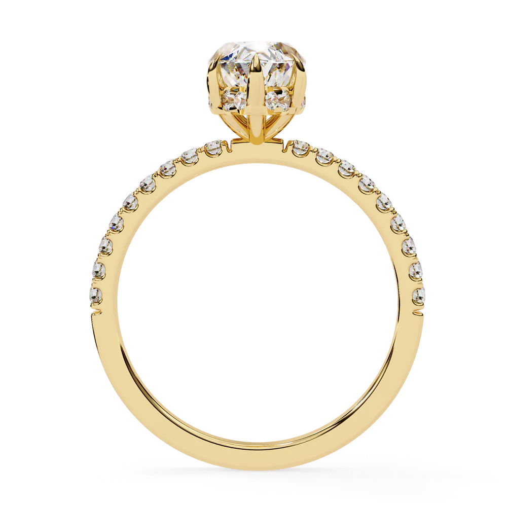 Celebrity Selena Gomez Engagement Ring design