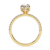 Celebrity Selena Gomez Engagement Ring design
