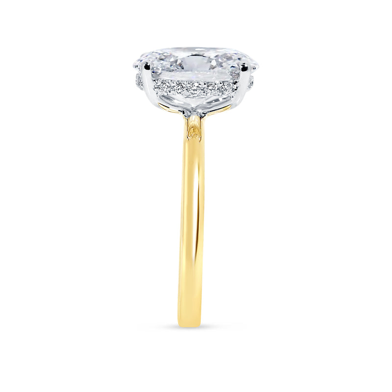 Hailey Bieber Engagements Ring