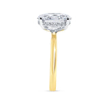 Hailey Bieber Engagements Ring