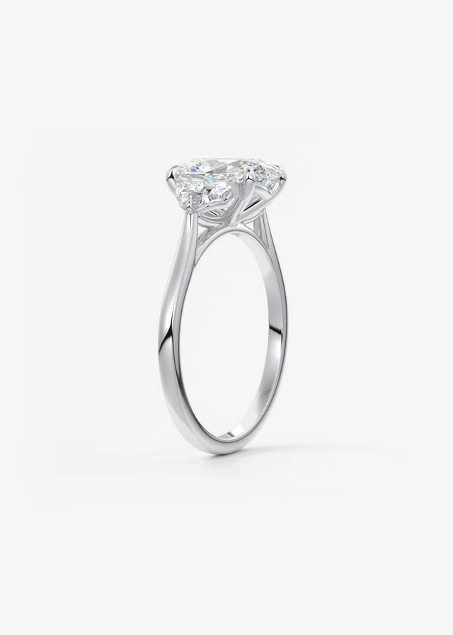 Ronaldo's GF Engagements Rings