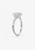 Ronaldo's GF Engagements Rings